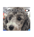 ルルのスタンプッ！！（個別スタンプ：4）