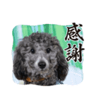 ルルのスタンプッ！！（個別スタンプ：7）