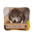 ルルのスタンプッ！！（個別スタンプ：8）