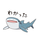 いろんなサメ大集合！関西弁SHARK ALL STAR（個別スタンプ：12）