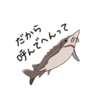 いろんなサメ大集合！関西弁SHARK ALL STAR（個別スタンプ：39）