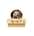 R＆J（個別スタンプ：2）