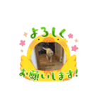 R＆J（個別スタンプ：9）