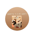 黒柴琥珀の日常スタンプ（個別スタンプ：4）