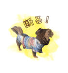 めろとにこ（個別スタンプ：13）