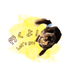 めろとにこ（個別スタンプ：14）