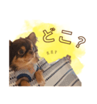 めろとにこ（個別スタンプ：25）