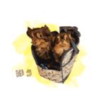 めろとにこ（個別スタンプ：32）