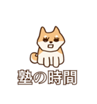 犬味 健やか犬（個別スタンプ：14）