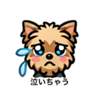ヨークシャテリアちゃん（個別スタンプ：2）
