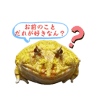 毒舌のツノガエル（個別スタンプ：14）