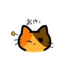 3種類のねこちゃんスタンプ（個別スタンプ：13）