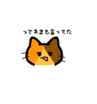 3種類のねこちゃんスタンプ（個別スタンプ：14）