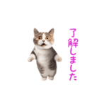 踊る！ダンス猫（敬語）（個別スタンプ：2）