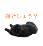 クロエさんのスタンプ（個別スタンプ：13）