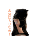 クロエさんのスタンプ（個別スタンプ：16）