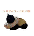 クロエさんのスタンプ（個別スタンプ：32）