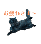 クロエさんのスタンプ（個別スタンプ：34）