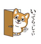 毎日まるしば日常会話（個別スタンプ：35）