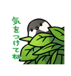 シジュウカラまみれ3（個別スタンプ：2）