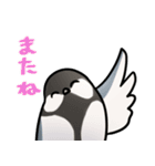 シジュウカラまみれ3（個別スタンプ：4）