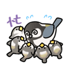 シジュウカラまみれ3（個別スタンプ：15）