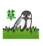 シジュウカラまみれ3（個別スタンプ：16）
