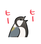 シジュウカラまみれ3（個別スタンプ：35）