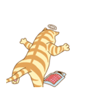 にゃーちゃんと僕（個別スタンプ：11）