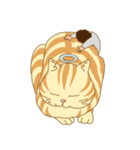 にゃーちゃんと僕（個別スタンプ：15）