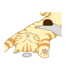 にゃーちゃんと僕（個別スタンプ：21）