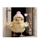 かわいい ひよこ カラフルニット 冬 敬語（個別スタンプ：25）