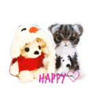 ワンにゃんだニャン（個別スタンプ：1）