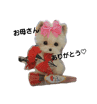 ワンにゃんだニャン（個別スタンプ：5）