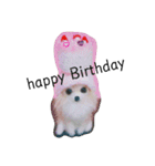ワンにゃんだニャン（個別スタンプ：6）