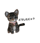 ワンにゃんだニャン（個別スタンプ：9）
