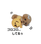 ワンにゃんだニャン（個別スタンプ：10）