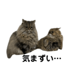 腹ペコ猫のはる（個別スタンプ：11）