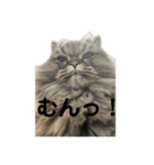 腹ペコ猫のはる（個別スタンプ：22）