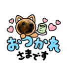 RENの愛犬ゆず（個別スタンプ：6）