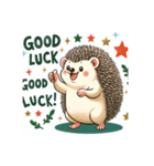 good luckハロー♡ハリネズミ（個別スタンプ：16）