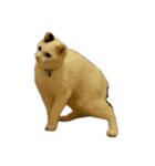 自宅の猫ミーム(冬)（個別スタンプ：30）