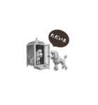 トイプー「1年中使えるスタンプ」白黒（個別スタンプ：7）