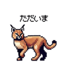 やせい！ドットカラカル（個別スタンプ：10）