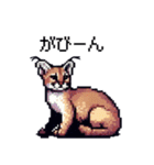 やせい！ドットカラカル（個別スタンプ：11）
