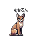 やせい！ドットカラカル（個別スタンプ：12）