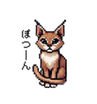 やせい！ドットカラカル（個別スタンプ：21）