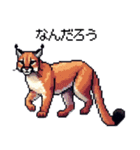 やせい！ドットカラカル（個別スタンプ：22）
