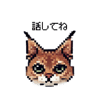 やせい！ドットカラカル（個別スタンプ：23）
