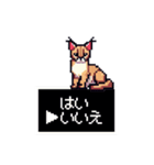 やせい！ドットカラカル（個別スタンプ：37）